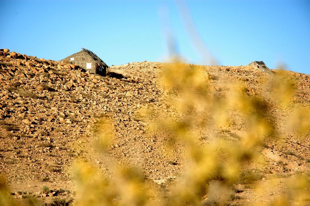 Succah In The Desert Mițpe Ramon Exterior foto