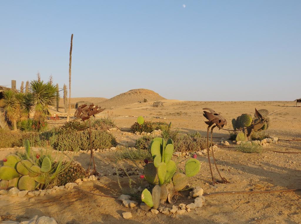 Succah In The Desert Mițpe Ramon Exterior foto