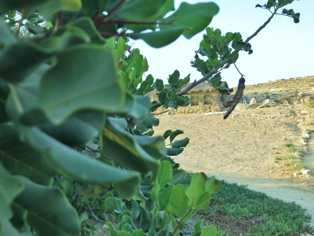 Succah In The Desert Mițpe Ramon Exterior foto