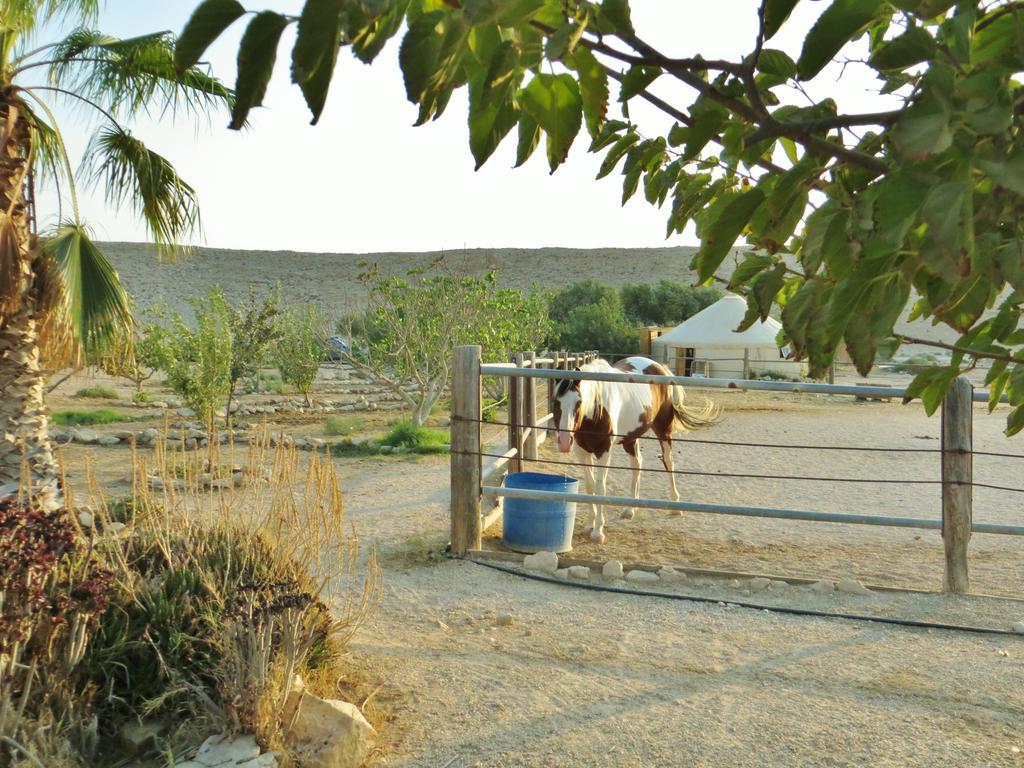 Succah In The Desert Mițpe Ramon Exterior foto