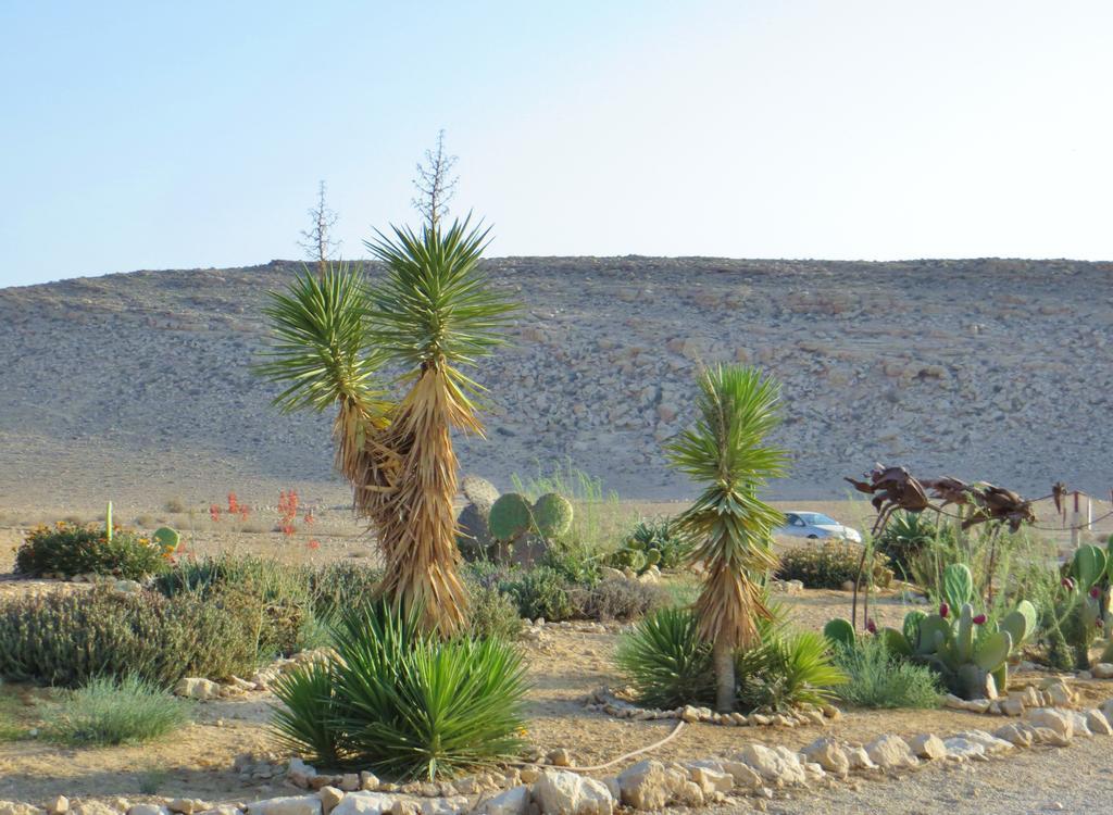 Succah In The Desert Mițpe Ramon Exterior foto