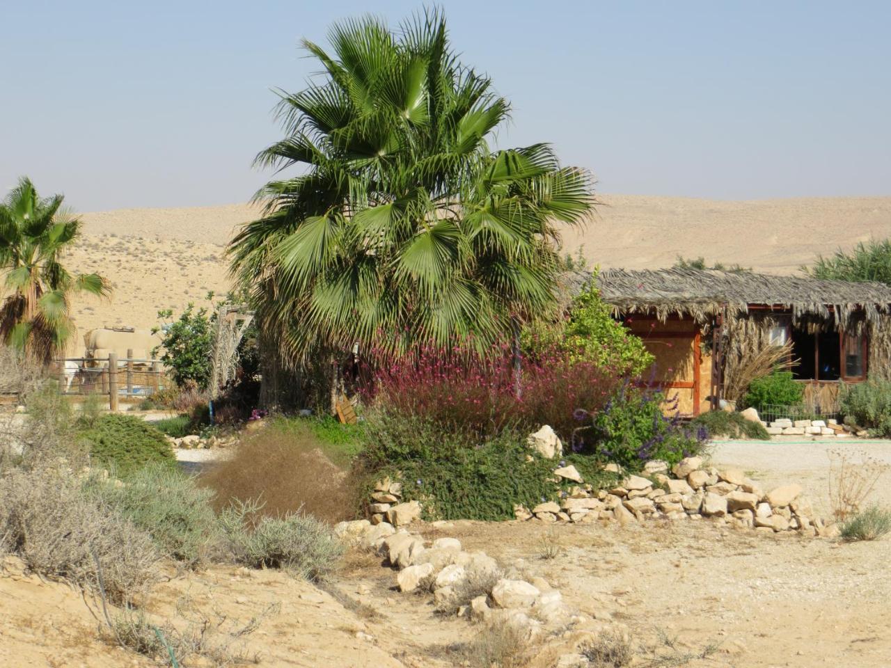 Succah In The Desert Mițpe Ramon Exterior foto