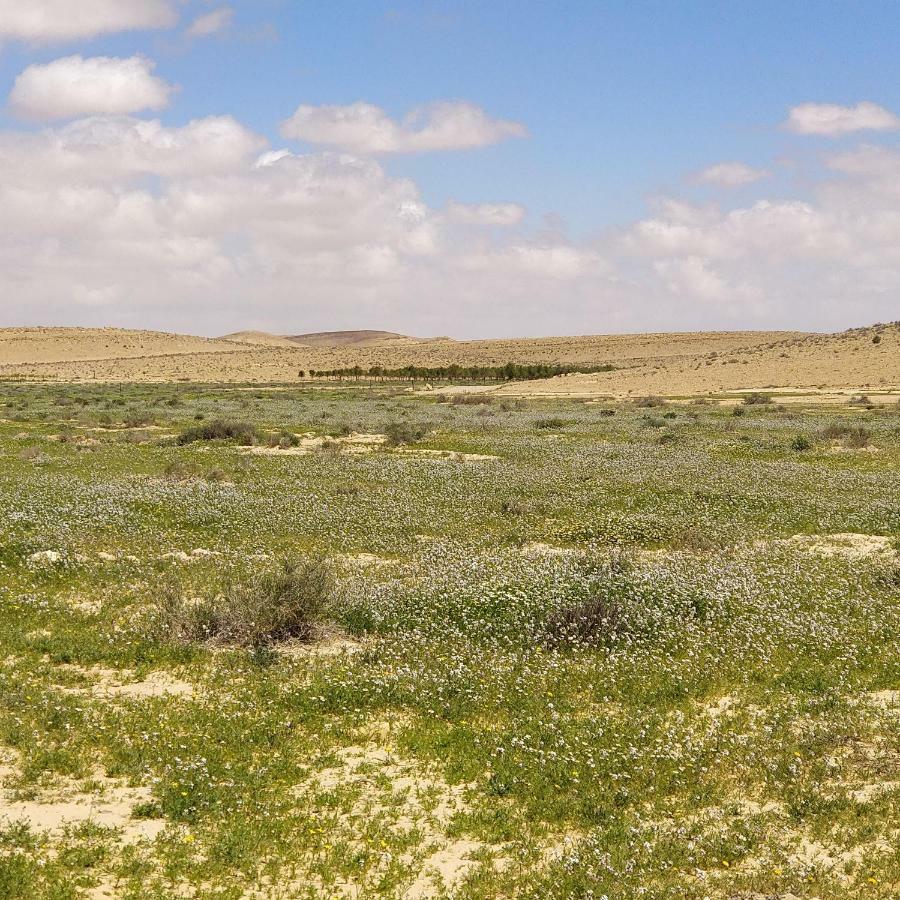 Succah In The Desert Mițpe Ramon Exterior foto